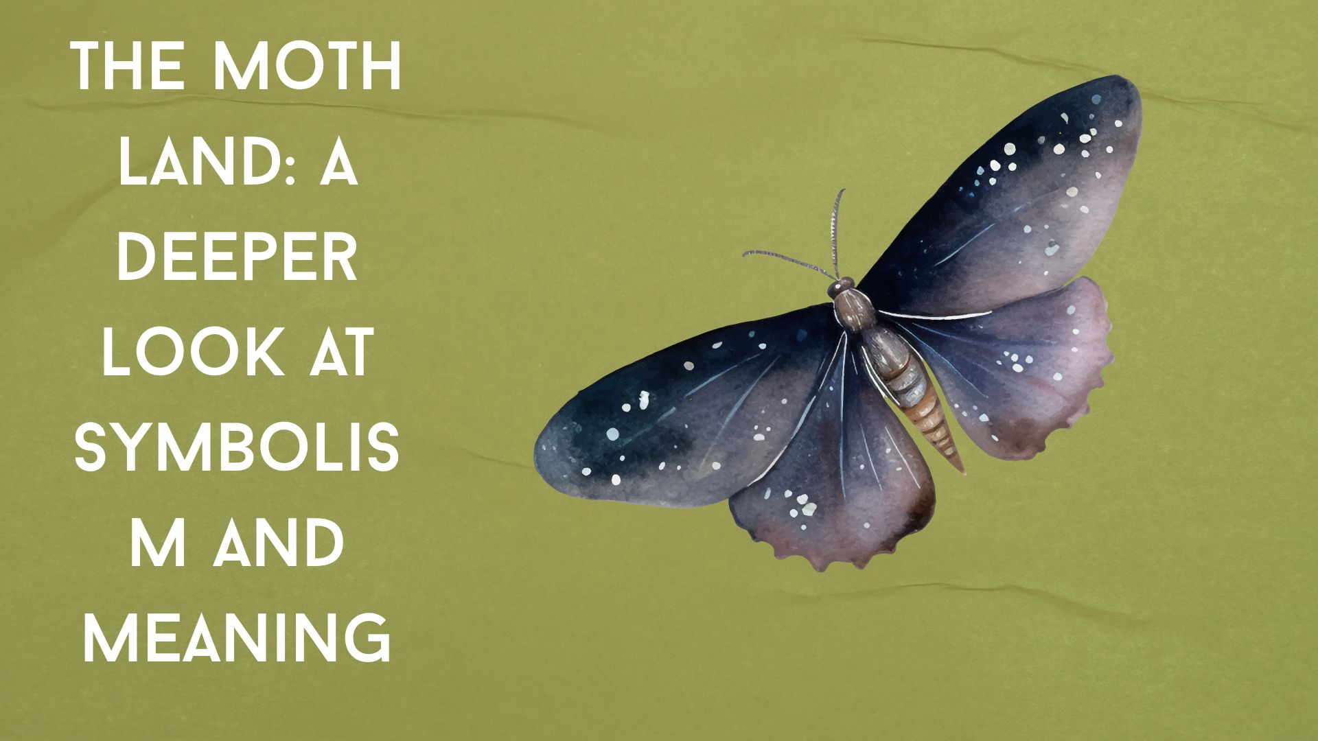 The Moth Land: A Deeper Look at Symbolism and Meaning