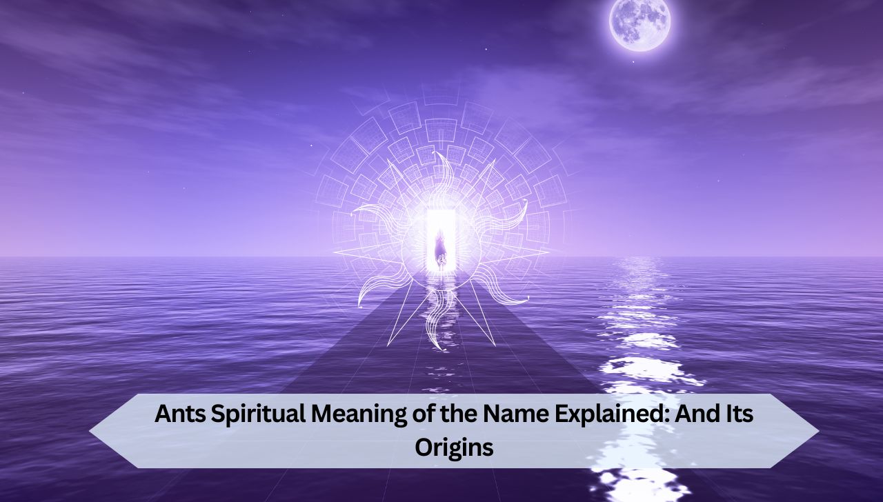 Ants Spiritual Meaning of the Name Explained: And Its Origins