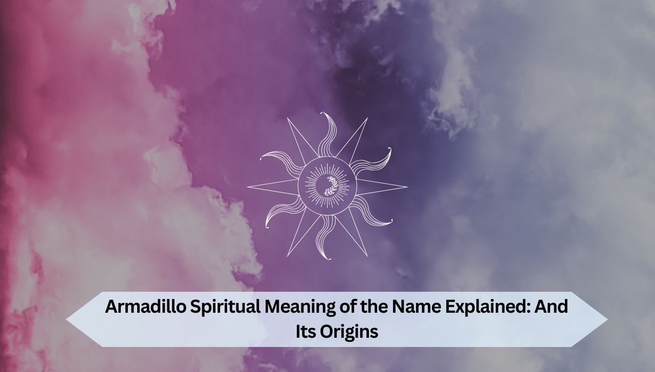 Armadillo Spiritual Meaning of the Name Explained: And Its Origins
