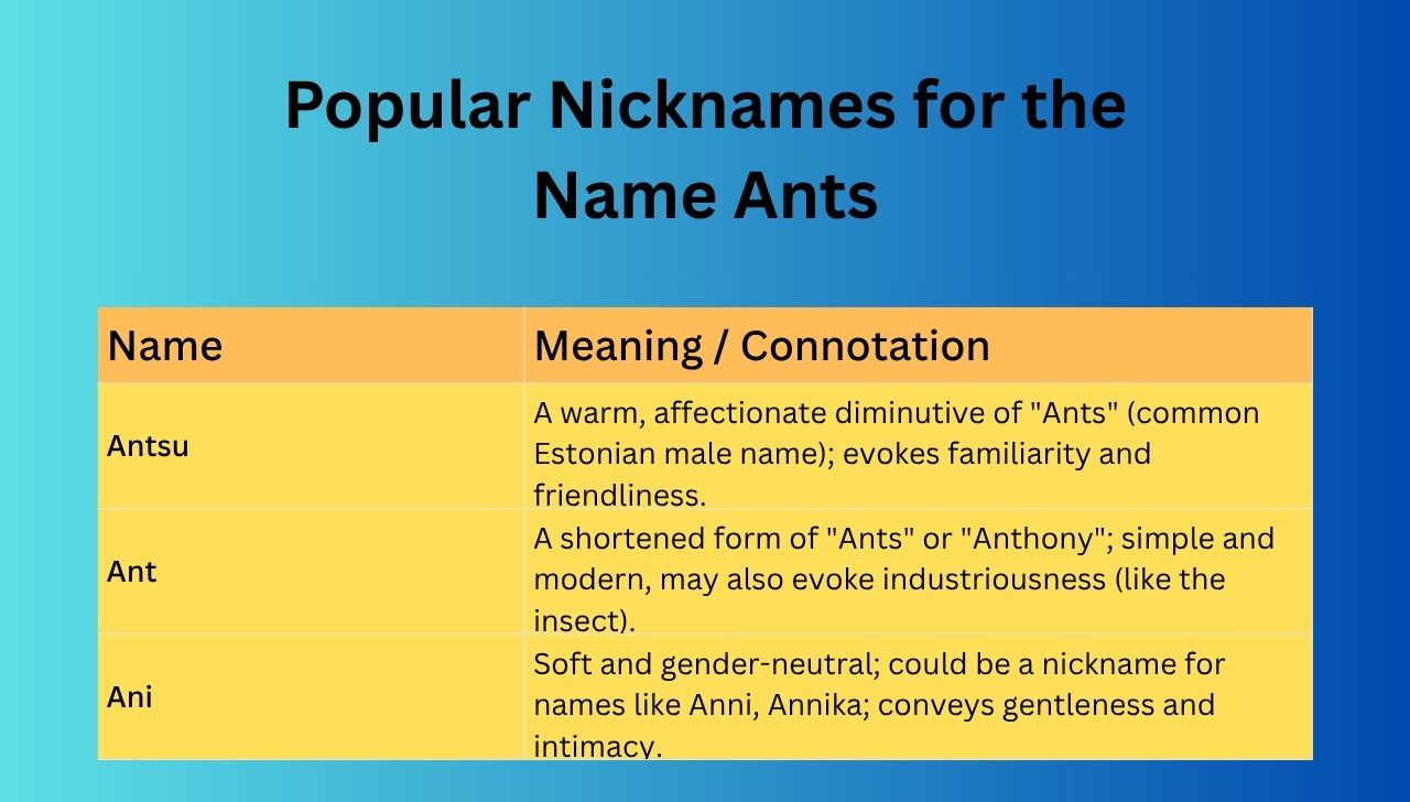 Popular Nicknames for the Name Ants