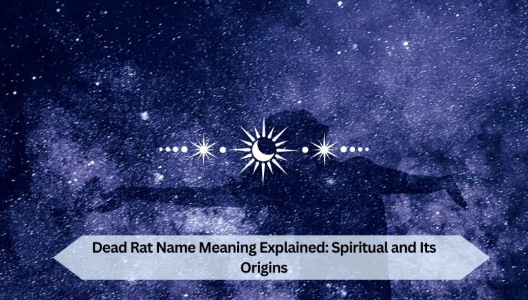 Dead Rat Name Meaning Explained Spiritual and Its Origins