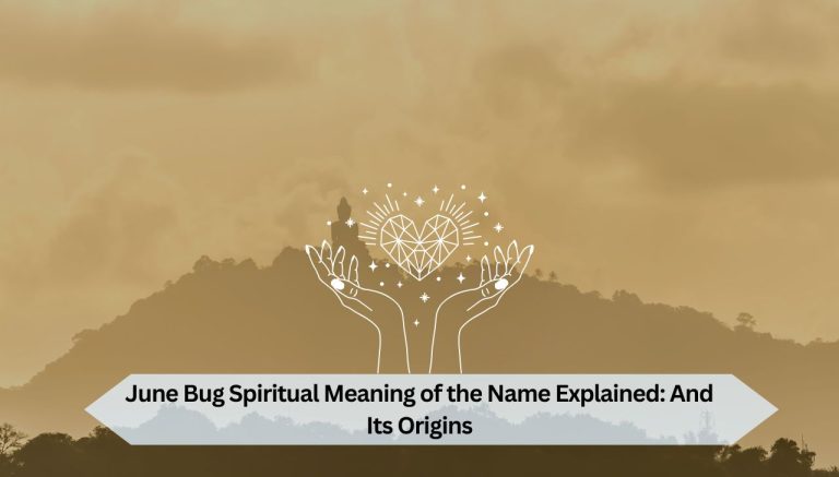 June Bug Spiritual Meaning of the Name Explained And Its Origins