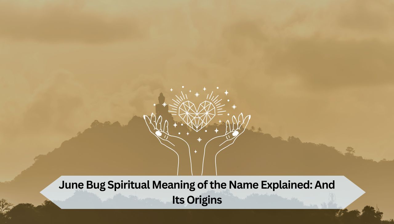 June Bug Spiritual Meaning of the Name Explained And Its Origins