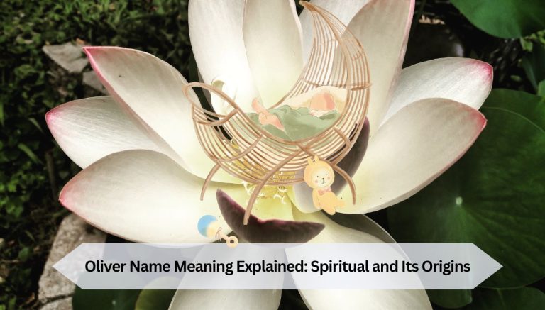 Oliver Name Meaning Explained Spiritual and Its Origins