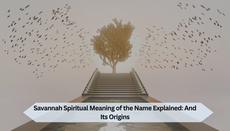 Savannah Spiritual Meaning of the Name Explained: And Its Origins