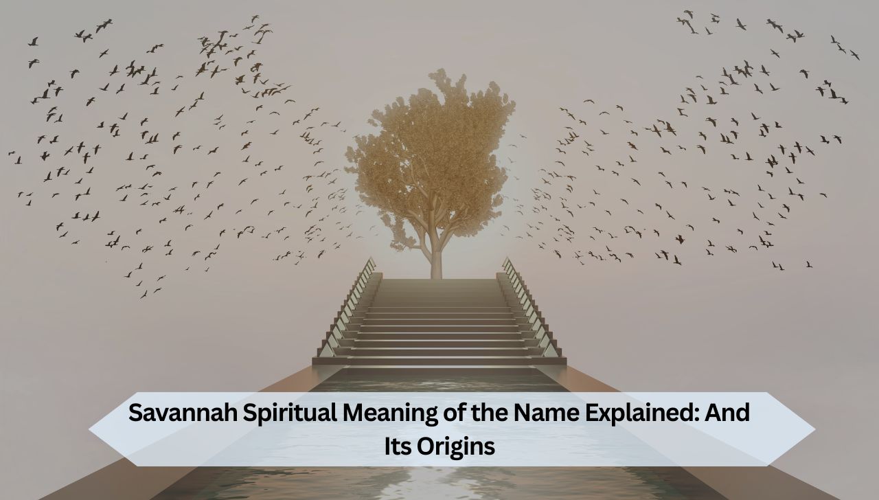 Savannah Spiritual Meaning of the Name Explained: And Its Origins
