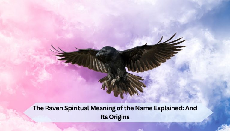 The Raven Spiritual Meaning of the Name Explained: And Its Origins