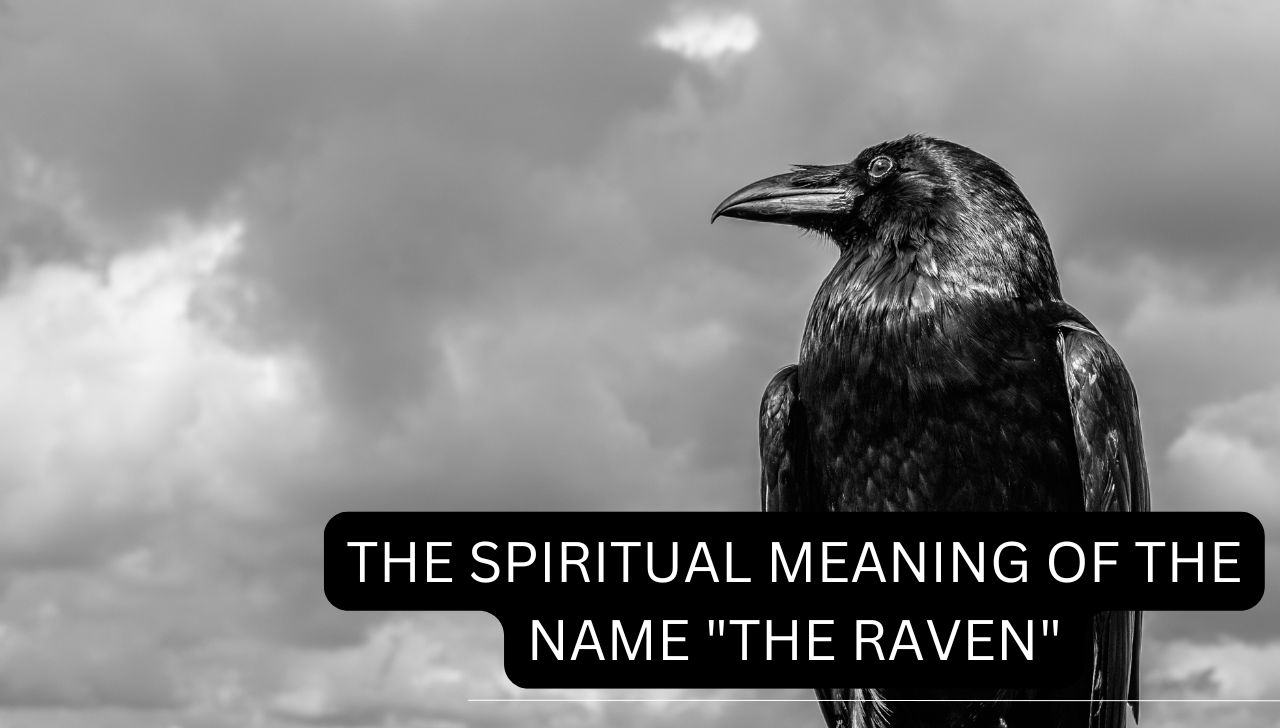 The Spiritual Meaning of the Name "The Raven"