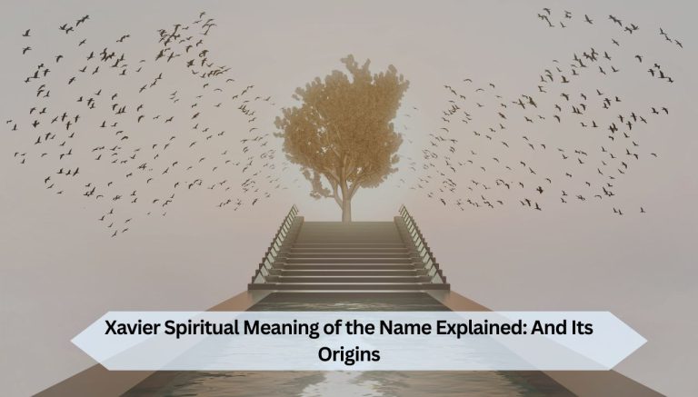 Xavier Spiritual Meaning of the Name Explained And Its Origins