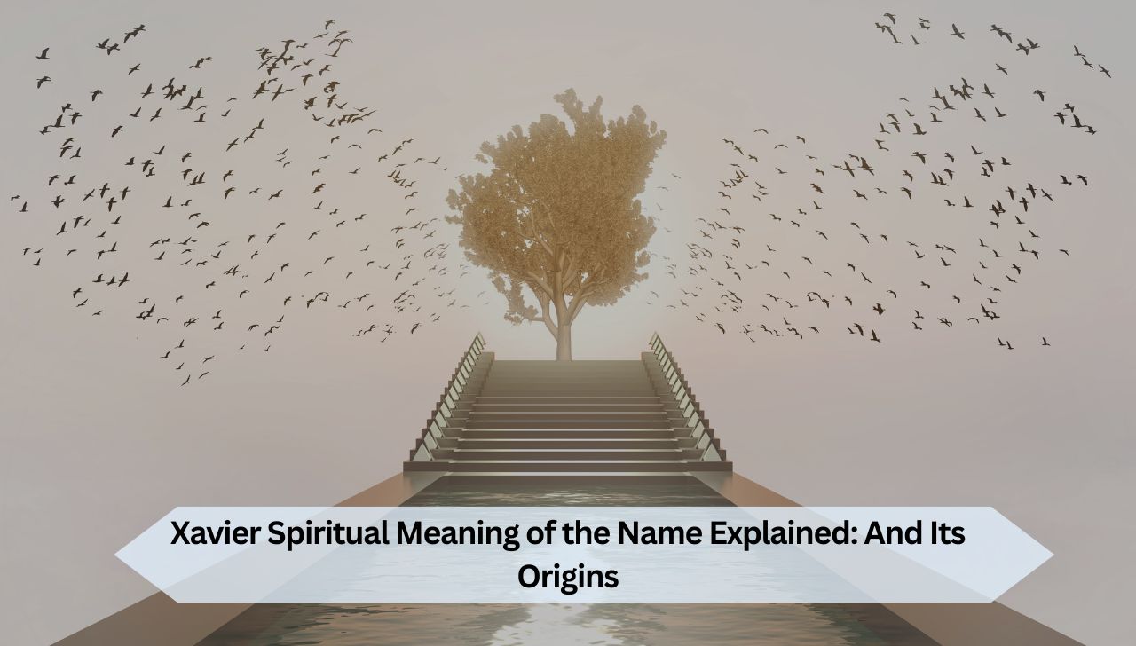 Xavier Spiritual Meaning of the Name Explained And Its Origins
