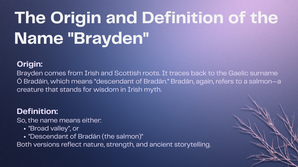 Origin and Definition of the Name "Brayden
